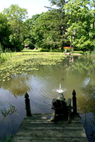 View of Pond